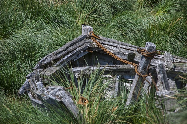 A decaying wooden boat of the whalers