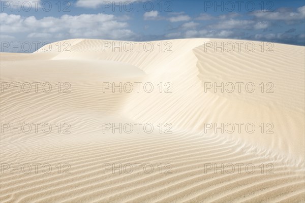 Sand dunes in the small desert Deserto Viana