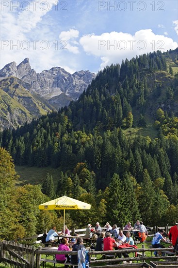 Buchenrain Alpe alp in Rappenalptal valley