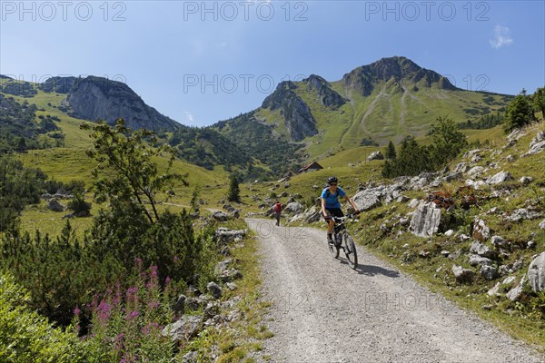 Mt Croda Rossa or Rotwand and Grosstiefental alpine pasture