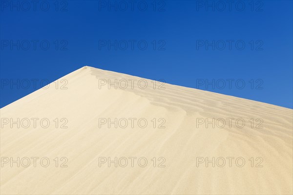 Dune