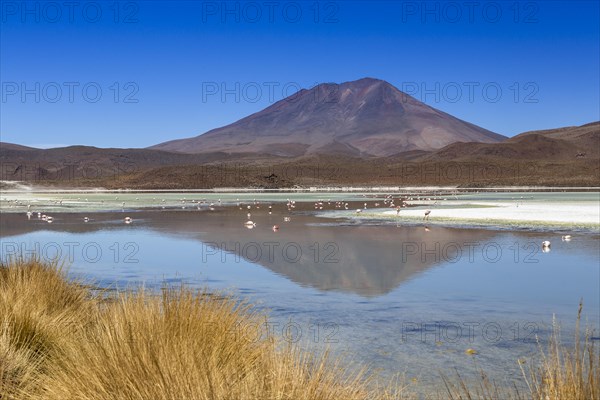 The lake Laguna Hedionda