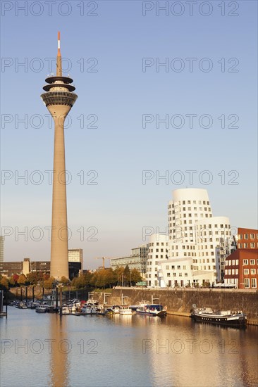 Rhine Tower and the Gehry Buildings at Media Harbour