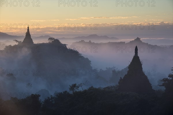 Pagodas surrounded by trees