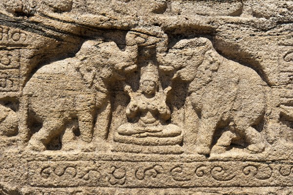 Elephant relief