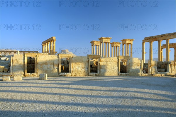 Ruins of the ancient city of Palmyra in the morning light