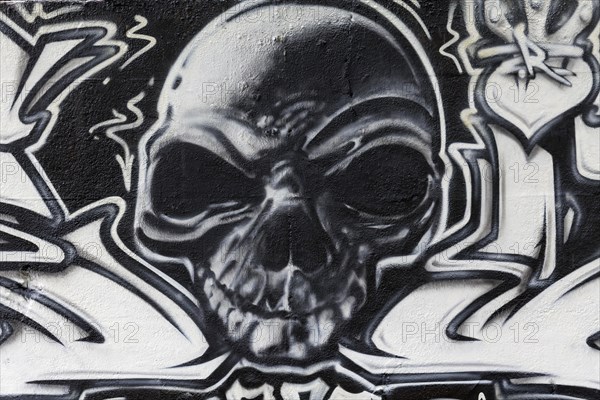 Skull