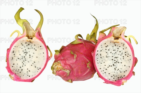 Pitahaya or Dragonfruit (Hylocereus undatus)