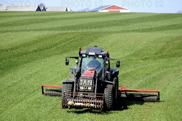 Tractor with cambridge roller works on green fields at spring farming. Th farm at the horizon