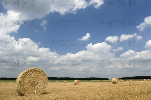 Field with straw bales against a blue sky with white clouds