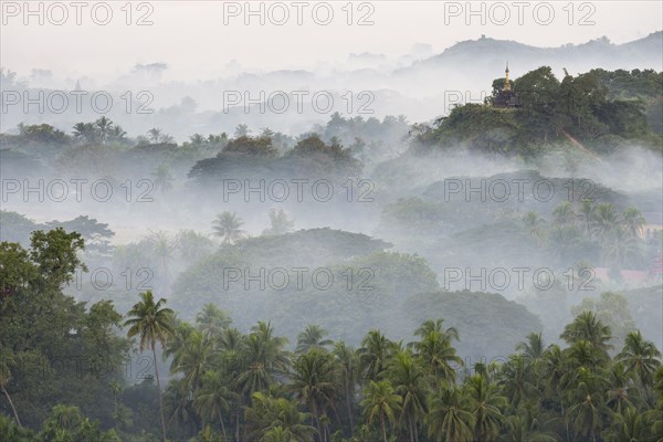 Pagodas and temples surrounded by trees