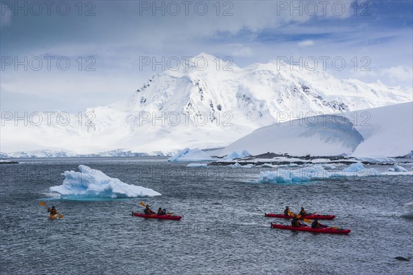 Kayakers paddling near Port Lockroy