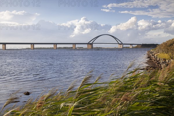 Fehmarn Sound Bridge