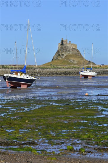Sailing boats at low tide in the bay off Lindisfarne Castle