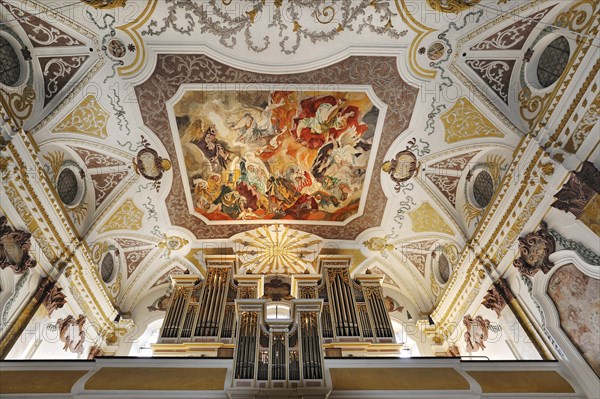 Organ and ceiling