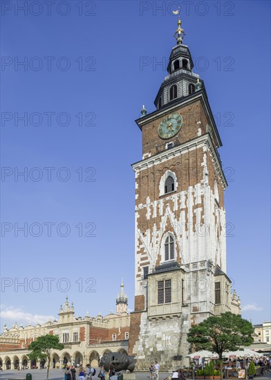 Town Hall Tower