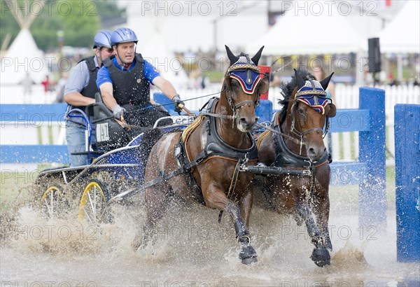 Horse-drawn carriage passing through a water ditch