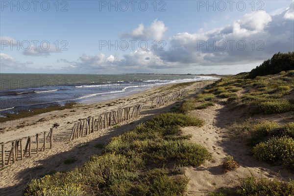 Coastal landscape