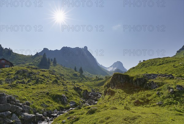 Laguz Bach stream and Rote Wand Mountain