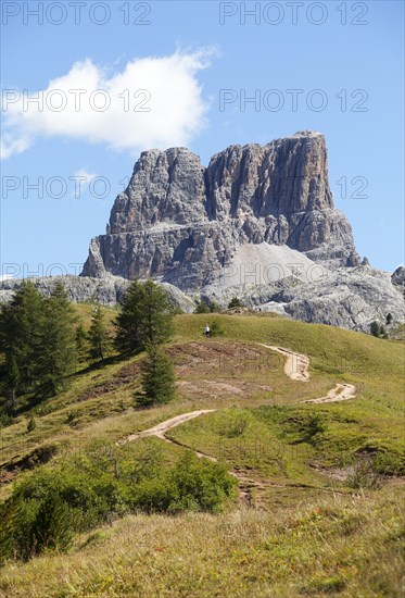 Hiking trail