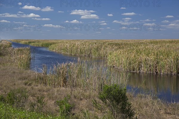 Stormwater Treatment Area 3-4