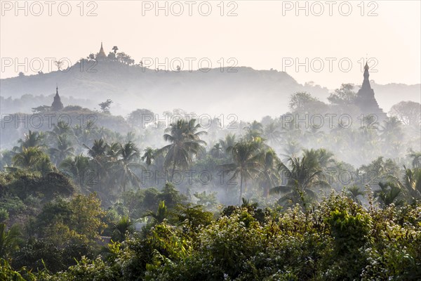 Pagodas and temples surrounded by trees