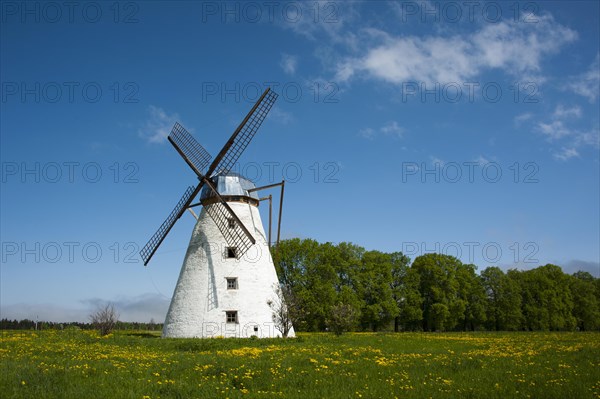 Windmill