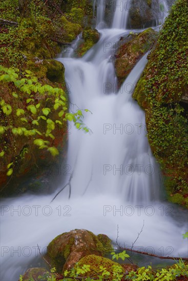 Urederra River