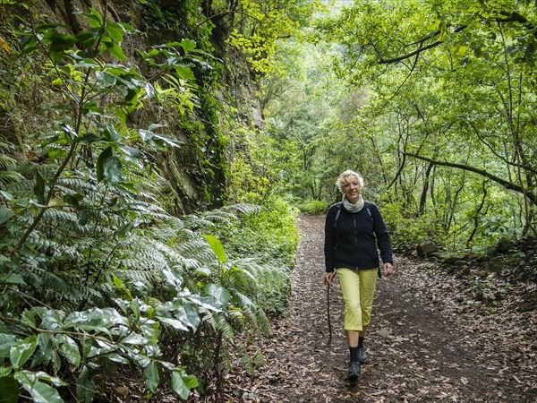 Tourist hiking in the forest of Los Tilos