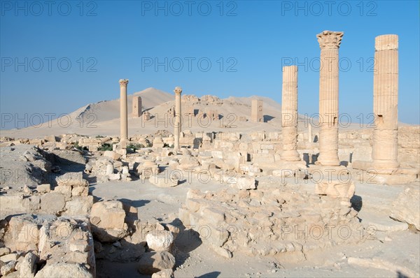 Ruins of the ancient city of Palmyra