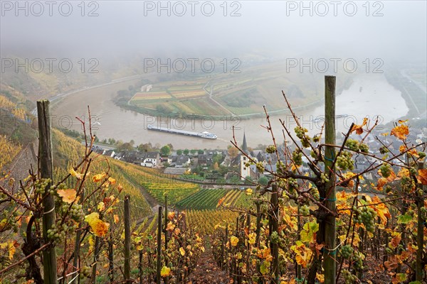 Moselle River loop in autumn
