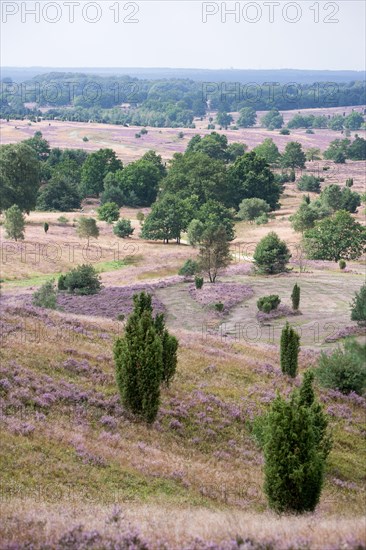 Hilly moorland landscape