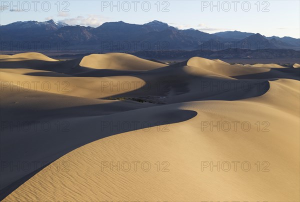 Mesquite Flat Sand Dunes in the early morning