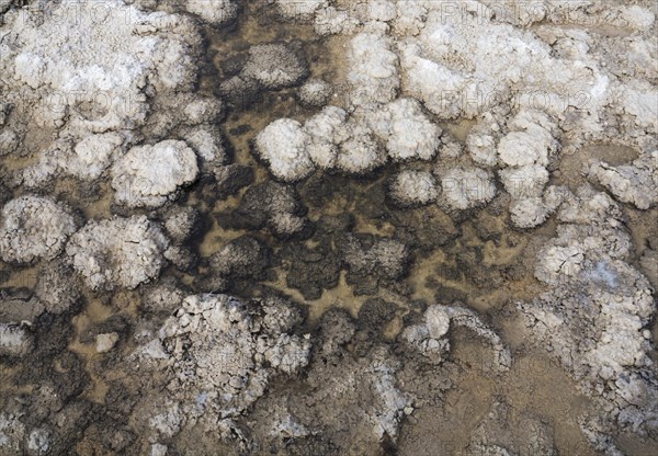 Salt deposits in a shallow pool