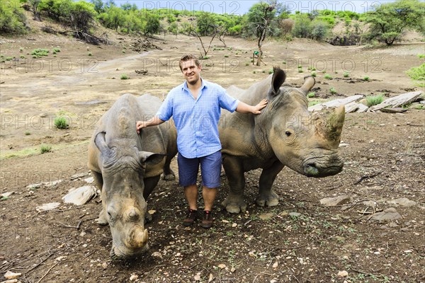 Young man standing between two White Rhinoceroses or Square-lipped Rhinoceroses (Ceratotherium simum)