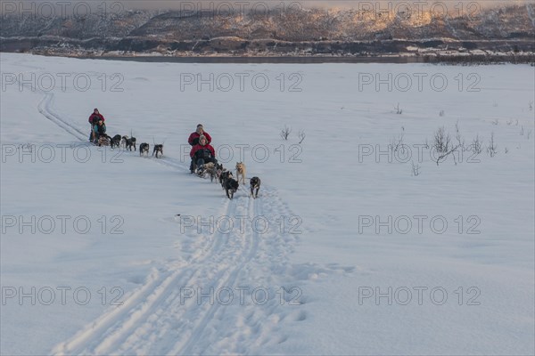 Dog-sledding in the snow
