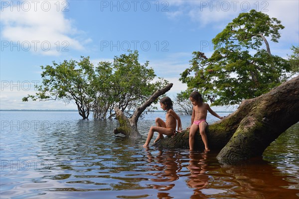 Girl sitting on a tree trunk of a giant rainforest tree on the banks of the Amazon and Rio Solimoes