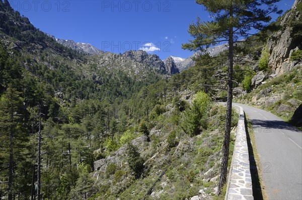 Narrow street in Restonica Valley