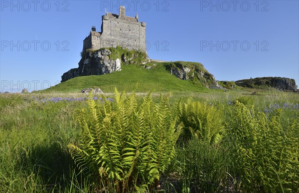 Duart Castle or Caisteal Dhubhairt