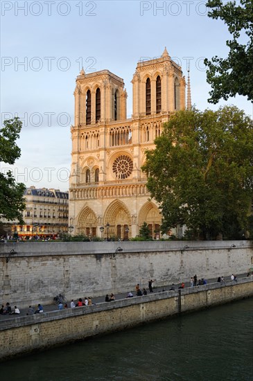 Cathedral Notre-Dame de Paris in the last evening light