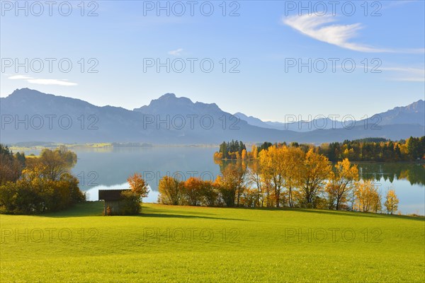 Autumn morning on Forggensee at Rosshaupten