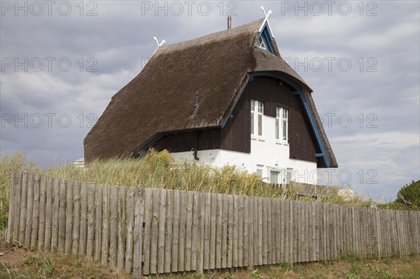 House with thatched roof