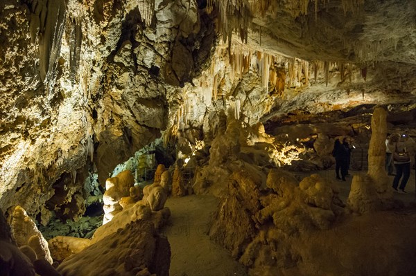 Stalactite cave