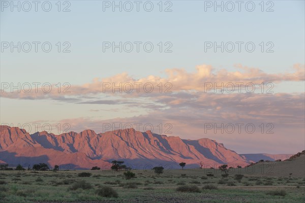 Landscape of the Namib Desert
