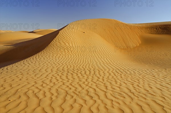 The sand dunes of the Wahiba Sands desert