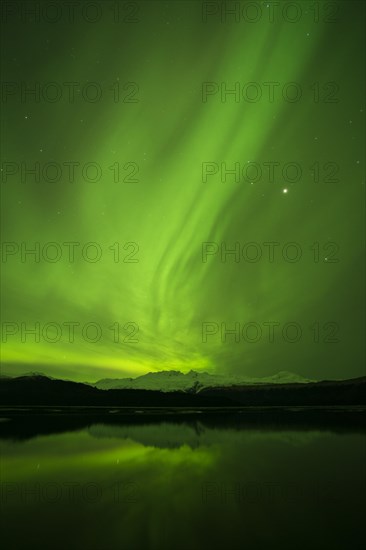 Aurora borealis over College Fjord