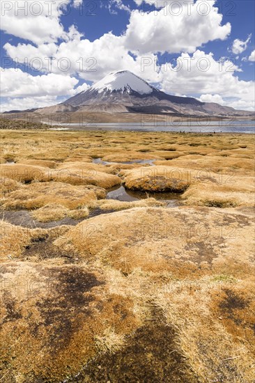 Lago Chungara lake