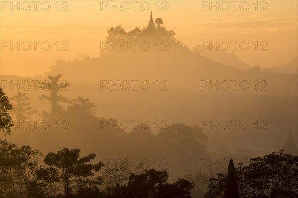 Pagoda surrounded by trees