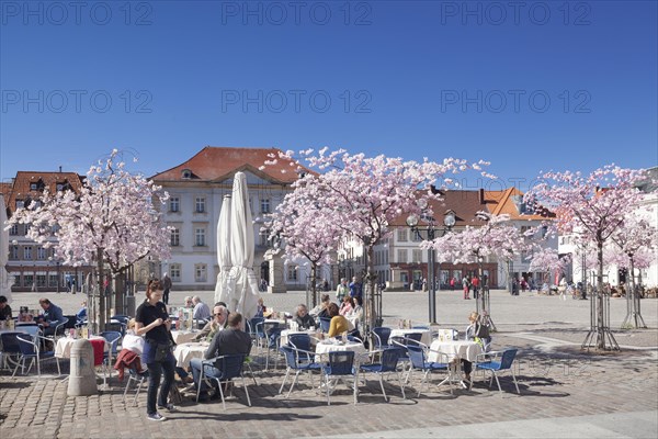 Marktplatz square and Town Hall