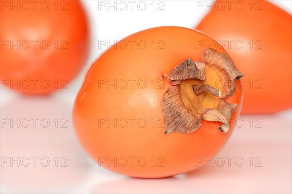 Japanese Persimmon